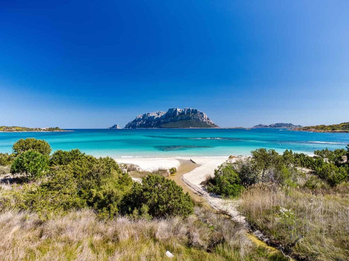 Apartmán Attico Vespucci Luxury Penthouse Olbia Exteriér fotografie