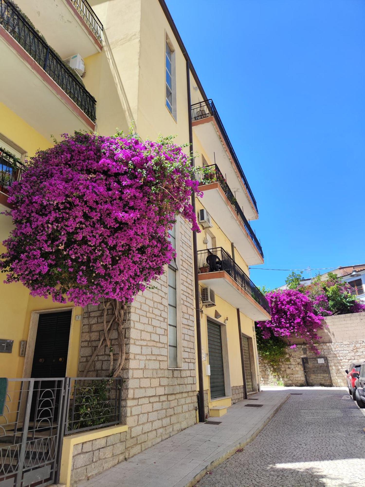 Apartmán Attico Vespucci Luxury Penthouse Olbia Exteriér fotografie
